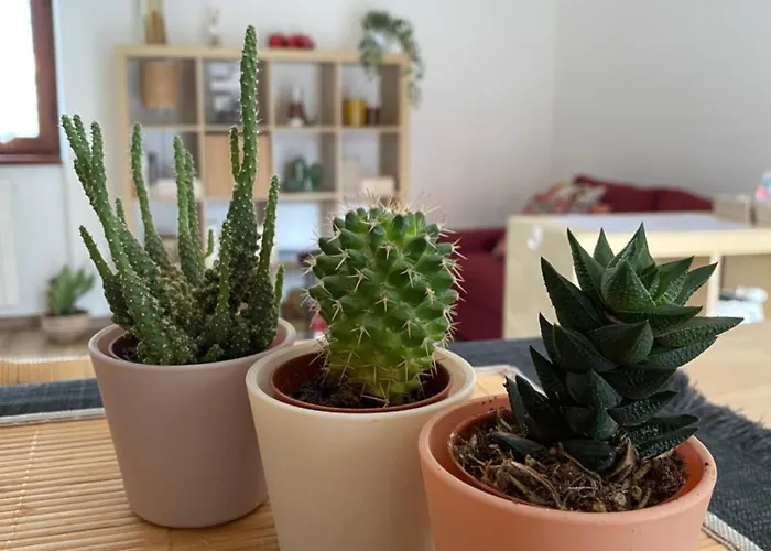 아파트 Gaia - A Due Passi Dal Centro 라베노-몸벨로